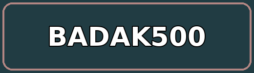 BADAK500
